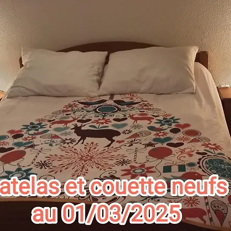 Guzet Neige, De 32 M2 Avec Balcon Dans Les Pyrenees Aux Pieds Des Pistes *