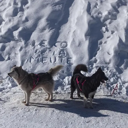 Guzet Neige, De 32 M2 Avec Balcon Dans Les Pyrenees Aux Pieds Des Pistes