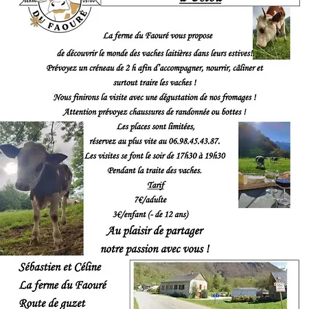 Guzet Neige, De 32 M2 Avec Balcon Dans Les Pyrenees Aux Pieds Des Pistes *