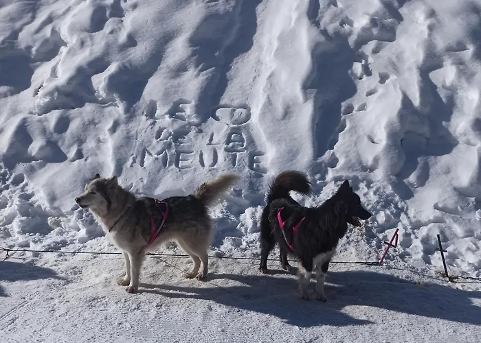 Guzet Neige, De 32 M2 Avec Balcon Dans Les Pyrenees Aux Pieds Des Pistes